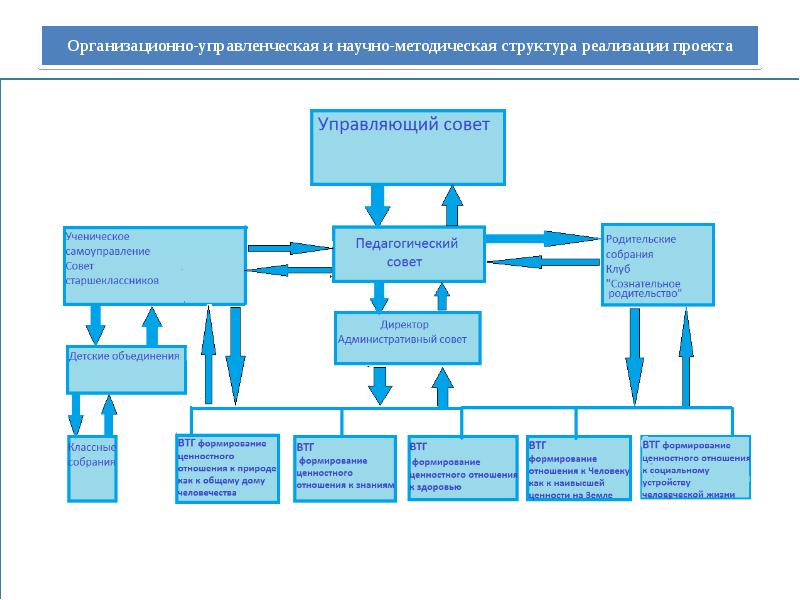 Организационная структура проекта виды