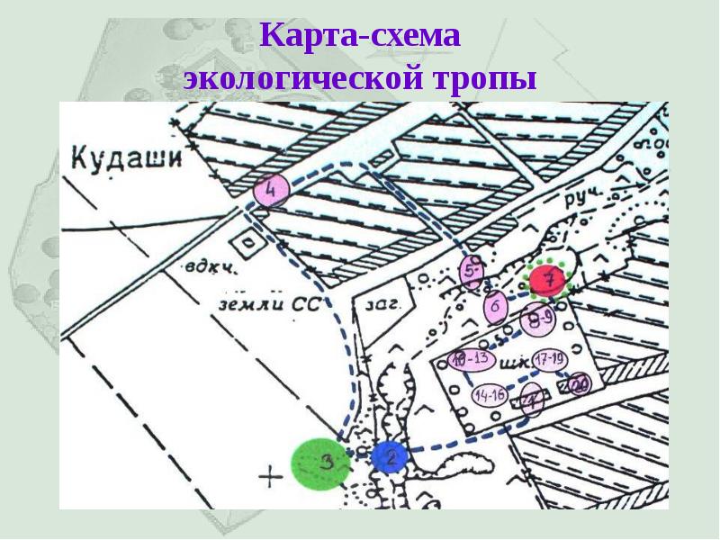 Карта схема экологической тропы