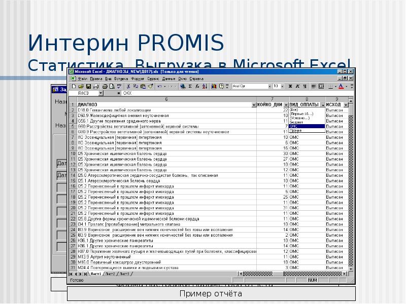 Мис интерин promis презентация