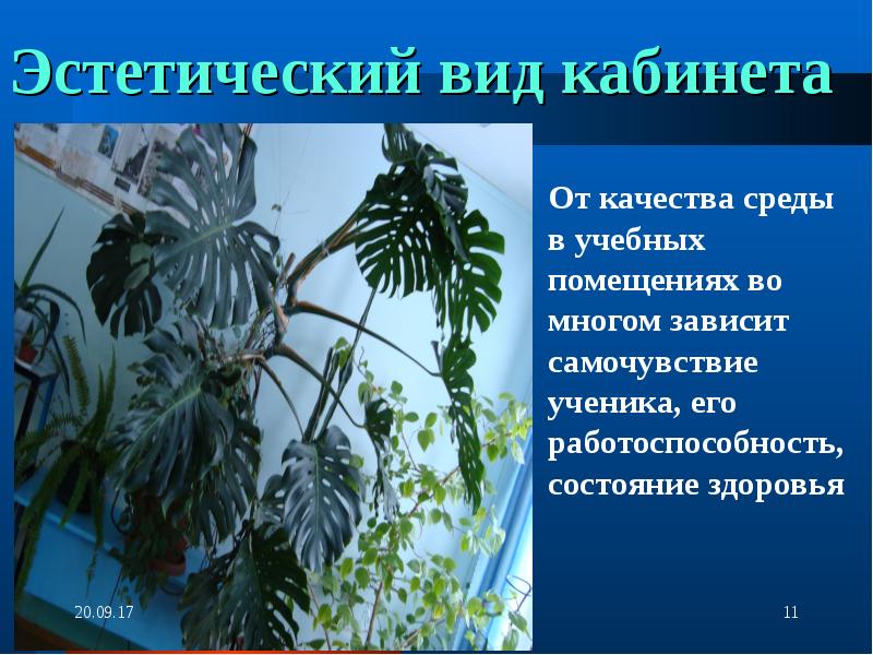 Виды эстетик. Эстетический вид кабинета. Эстетичный вид или эстетический. Какой бывает эстетический вид. Виды эстетического вида.