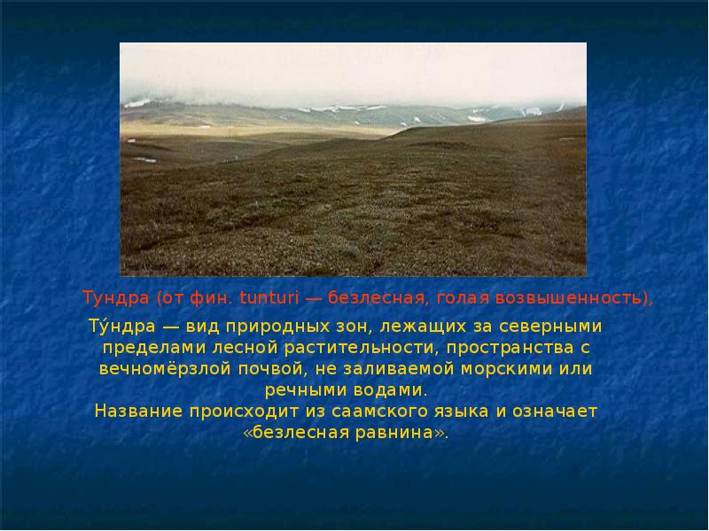 Северный предел. Визитная карточка природной зоны. Зона тундры презентация. Визитная карточка тундры. Форма тундра.