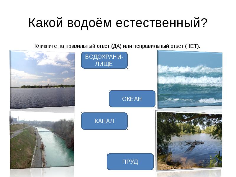 Какие водоемы есть в твоем крае окружающий