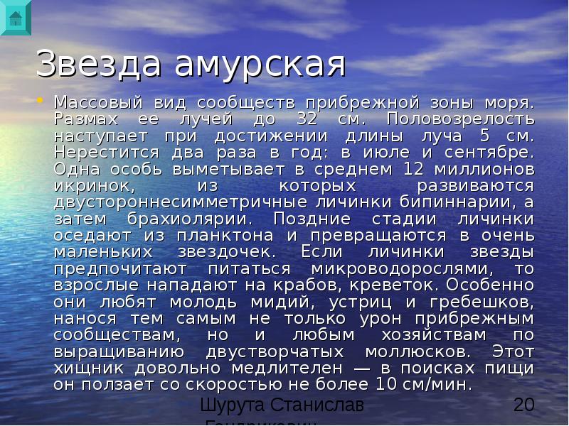 Как люди влияют на реку. Саня Маликов картина Пластова. Как деятельность людей влияет на реку. Влияние человека на реку. Влияние рек на деятельность человека.