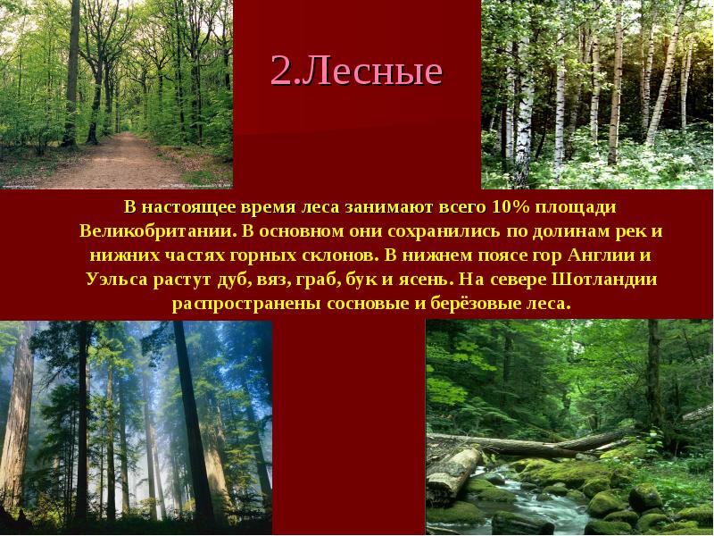 Организации занимающиеся лесом. Южный Лесной пояс. Операция Лесной пояс. Северный Лесной пояс на карте.