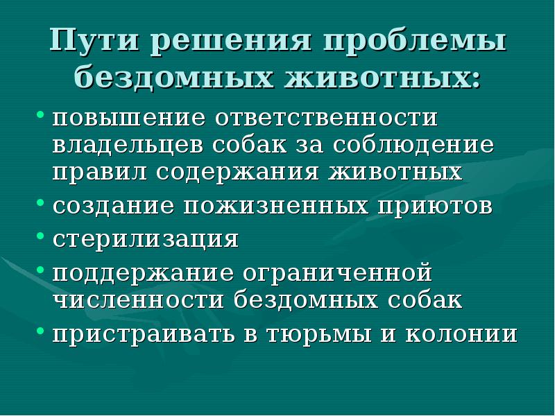 Бездомные животные проблема проекта