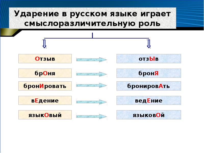 Особенности ударения в русском языке проект