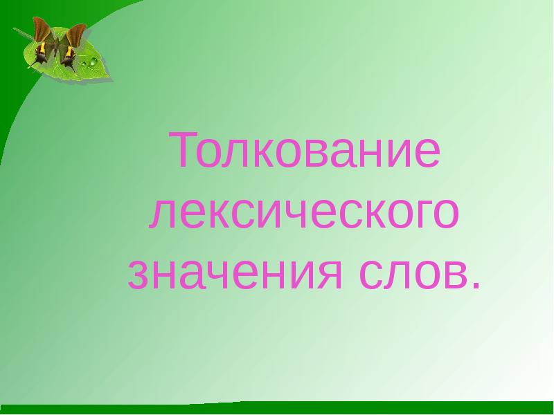 Путешествие в мир дикой природы лексическое значение