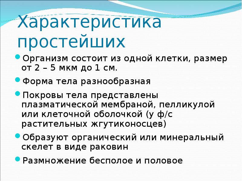 Простейшие параметры. Характеристика простейших. Свойства простейших организмов. Особенности простейших. Краткая характеристика простейших.