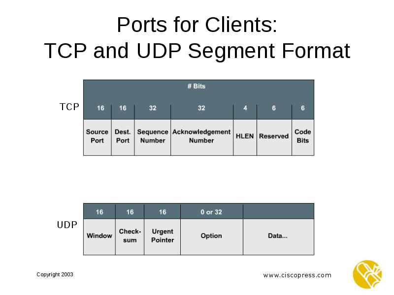 Udp tracker coppersurfer tk. Сегмент udp. tcp сегмент и udp. класс tcpclient. сегмент upd.