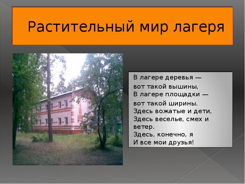 Здесь конечно. Вот и Березовая роща в лагере. Стих в лагере деревья вот такой ширины. Песня ААА В лагере деревья вот такой вышины.