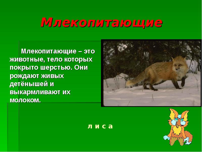 Текст про животных. Список млекопитающих животных. Кто такие звери. Животные 1 класс. Об 1 животном какой из них.