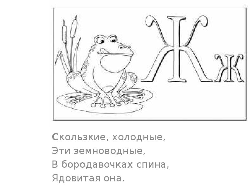 Азбука буква ж. Проект Азбука загадок. Азбука в загадках и картинках 1 класс проект. Проект Азбука загадок 1 класс по литературному чтению раскраска. Проект по чтению 1 класс Азбука загадок в картинках.