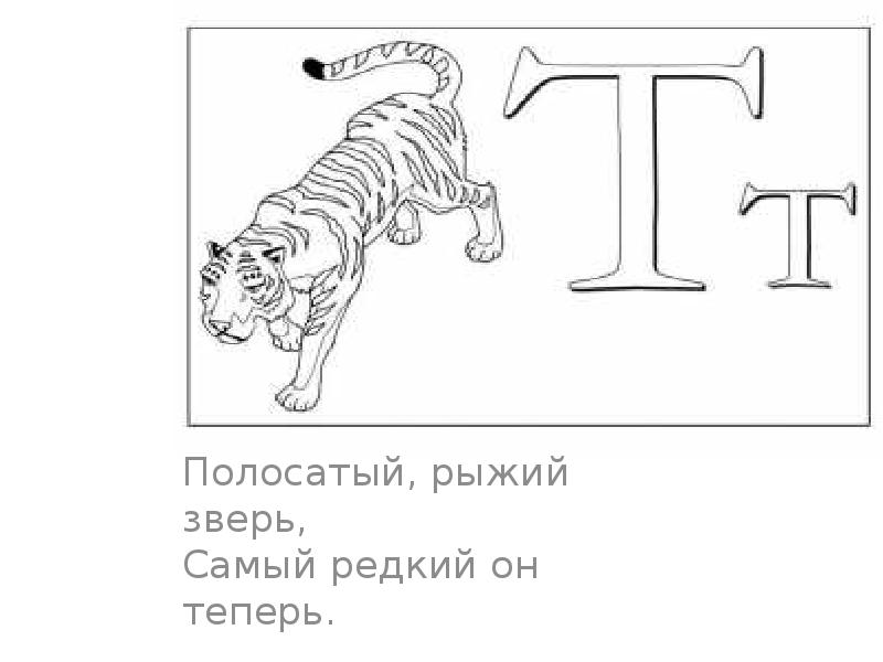 Проект азбука загадок 1 класс по литературному