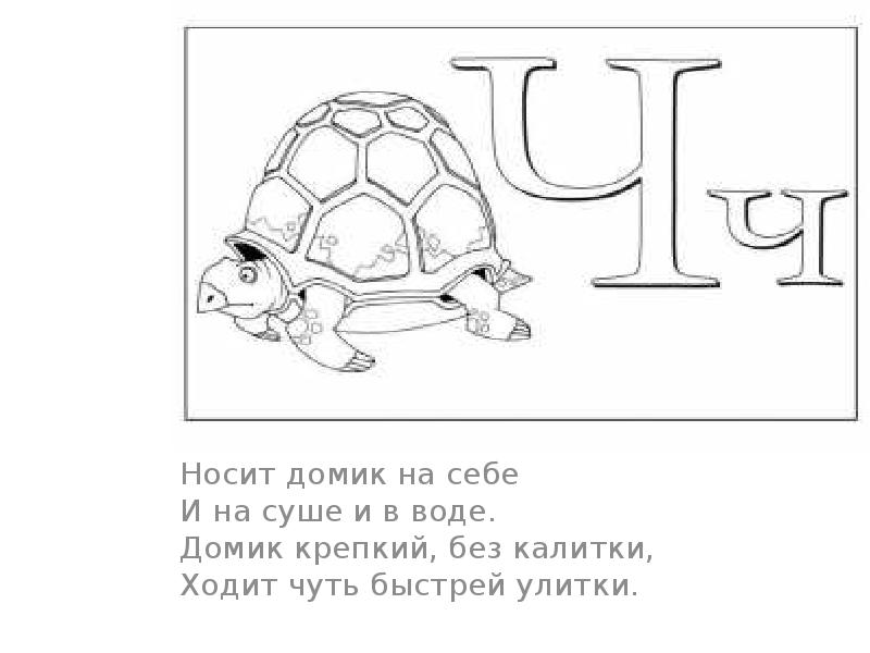 Пять букв ша. Буква ша или Шэ как правильно.