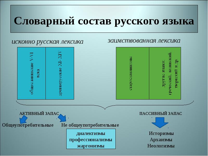 Способы презентации новой лексики