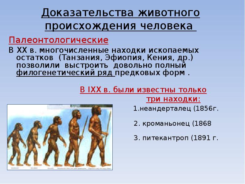 Презентация доказательство происхождения человека от животных