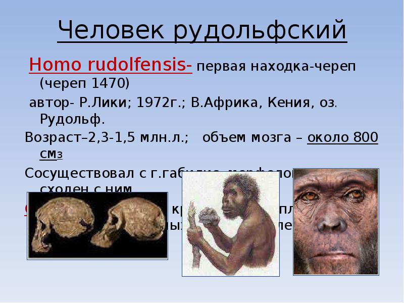 Homo rudolfensis