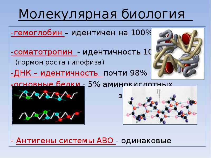 Молекулярный метод