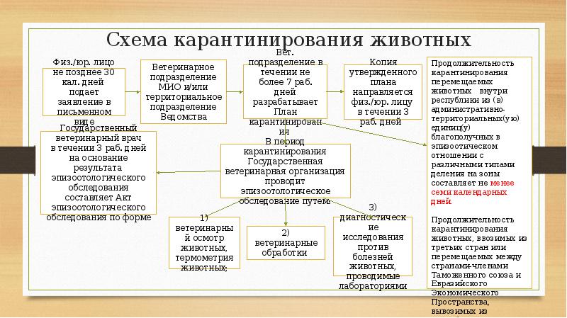 План эпизоотологического обследования хозяйства