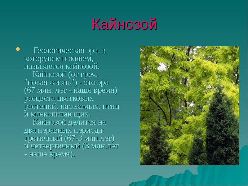 Эра это. Как называется Эра в которой мы живем. Геологическая Эра в которой мы живем называется. Геологическая Эра в которой мы живём сейчас. Период в котором мы живем называется.