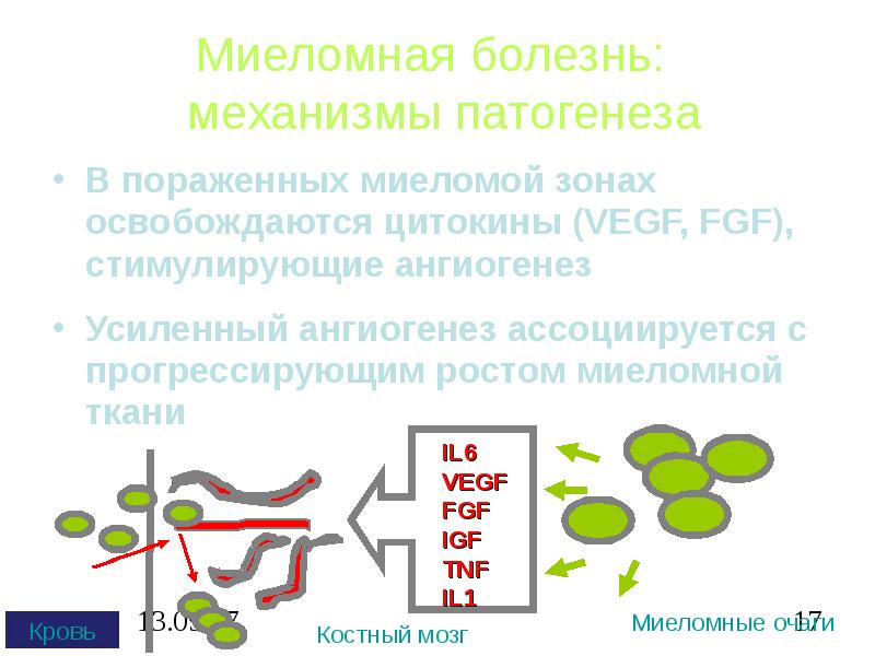 Презентация на тему миеломная болезнь