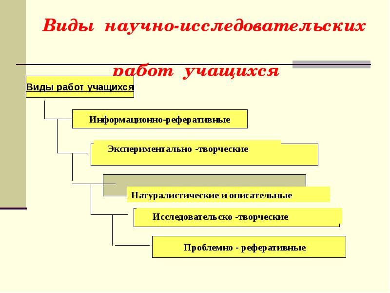 Виды исследовательских проектов