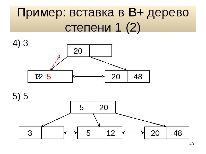 Пример 2 1 14 24. Степень дерева. Дерево структура хранения. Что такое степень 1 у дерева. Дерево 3 степени.