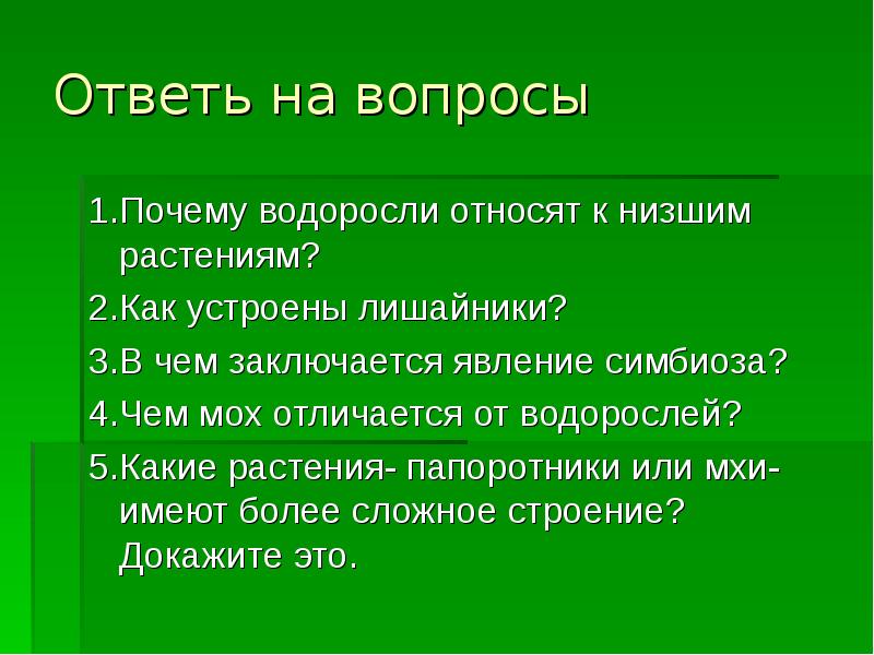 Почему водоросли относятся