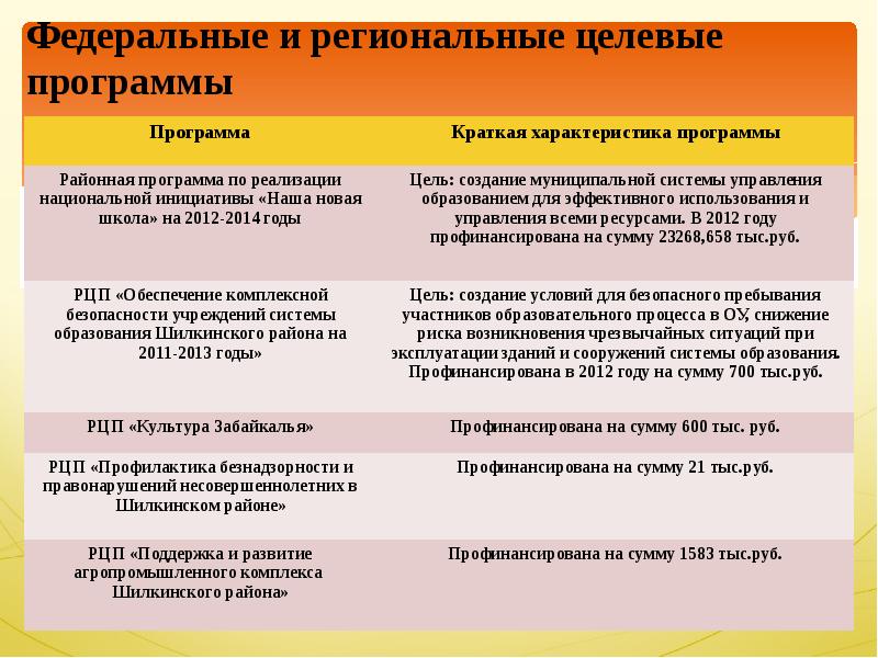 Федеральные и региональные целевые программы презентация