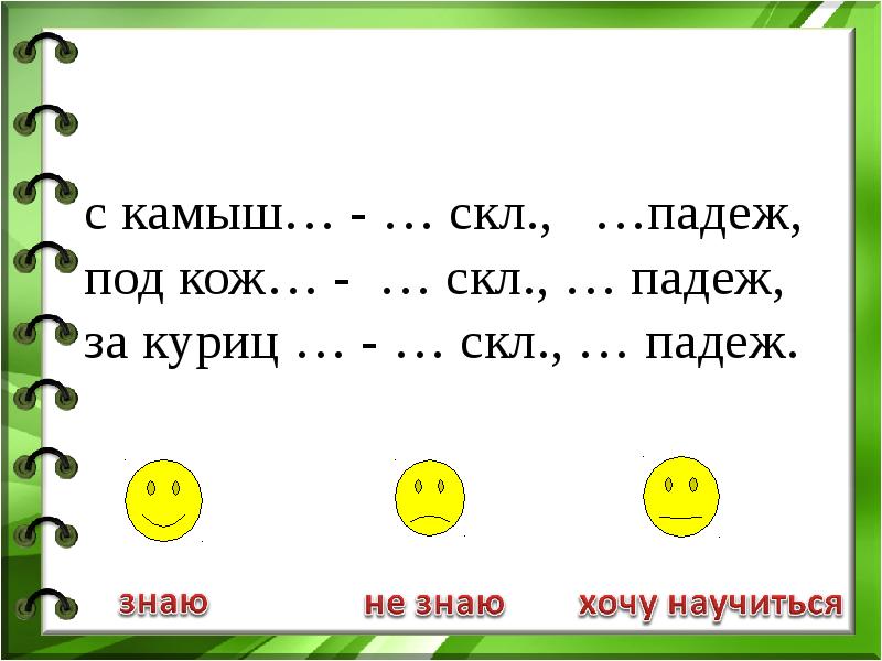 Камыш род существительного. Предложение со словом камыш. Падежи изменение имен существительных. Камыш падеж. Камышах падеж.
