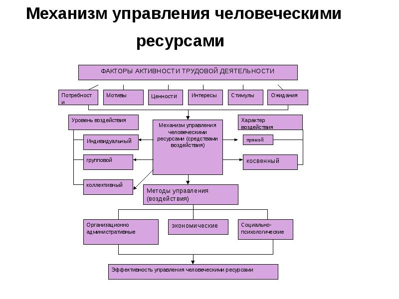 Факторы модели управления. Управление человеческими ресурсами. Структура системы управления человеческими ресурсами. Управление человеческими ресурсами в организации. Модели управления человеческими ресурсами.