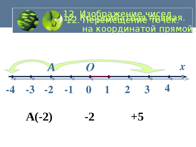 Координатные прямые презентация 6 класс