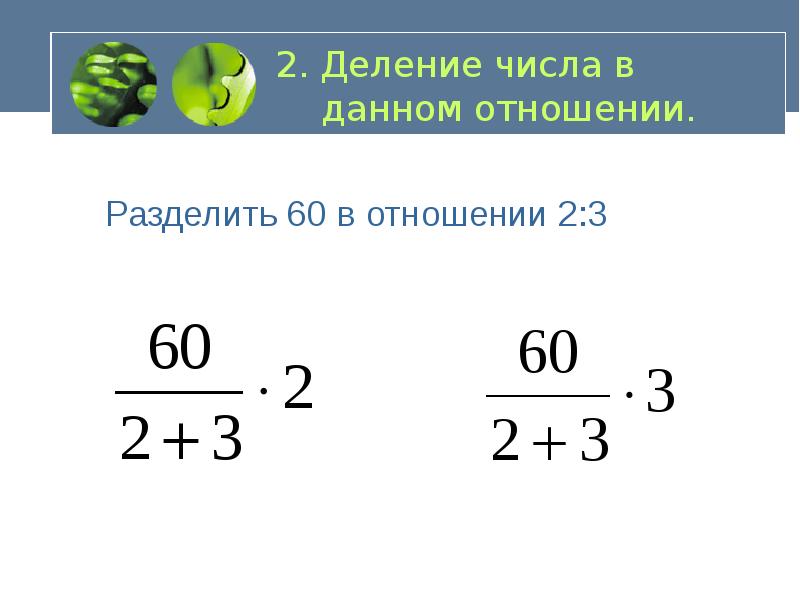 Деление числа в отношении 6 класс