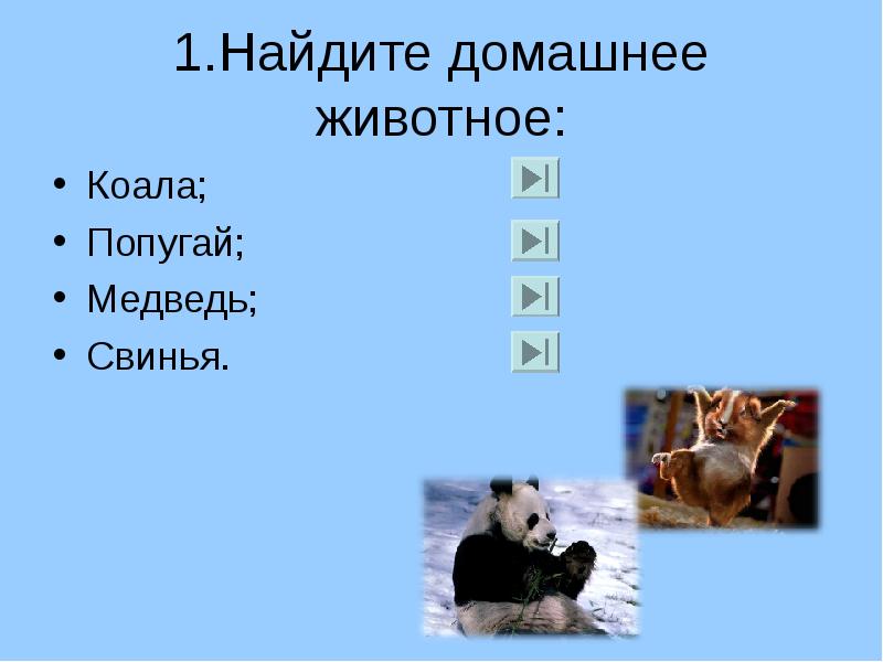 Тест дикие и домашние. Тестирование на тему Дикие и домашние животные. Тест по теме Дикие и домашние животные. Тест на тему домашние животные. Дикие и домашние животные 2 класс тест.