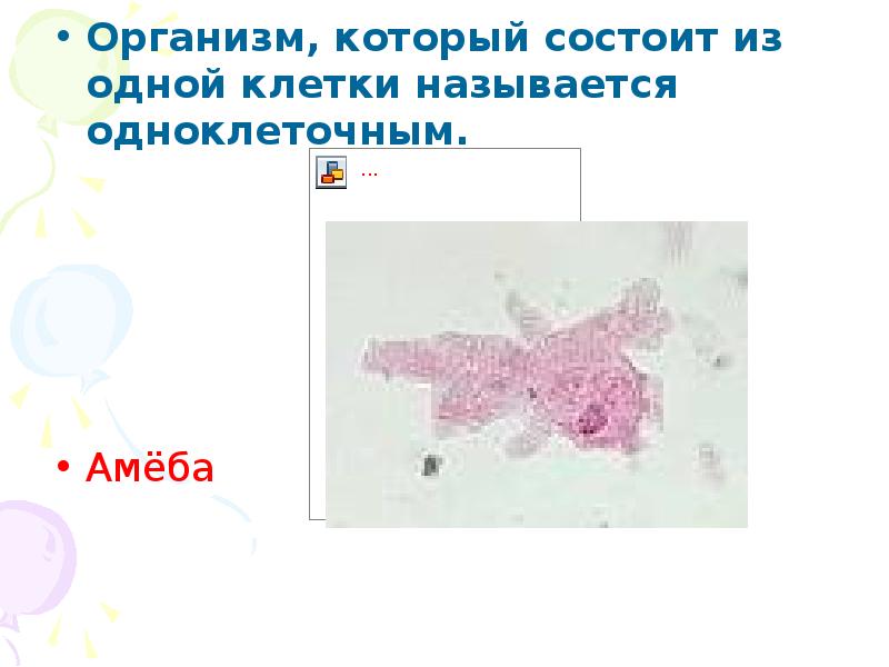 В каком виде переживают зиму одноклетки