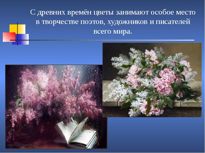 Время цветов. Цветы в творчестве поэтов и писателей. Тема цветы в творчестве поэтов. Тема цветов в творчестве поэтов Донбасса картинки. Цветок занявший статус.