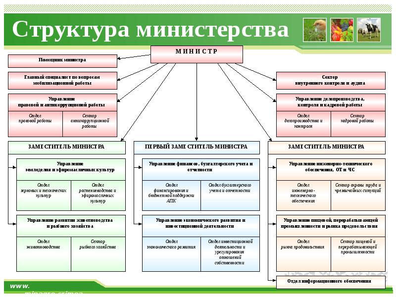 Образовательные учреждения министерства сельского хозяйства. Министерство сельского хозяйства схема. Министерство сельского хозяйства России структура. Структура Министерства. Структура Министерства сельского хозяйства РФ.