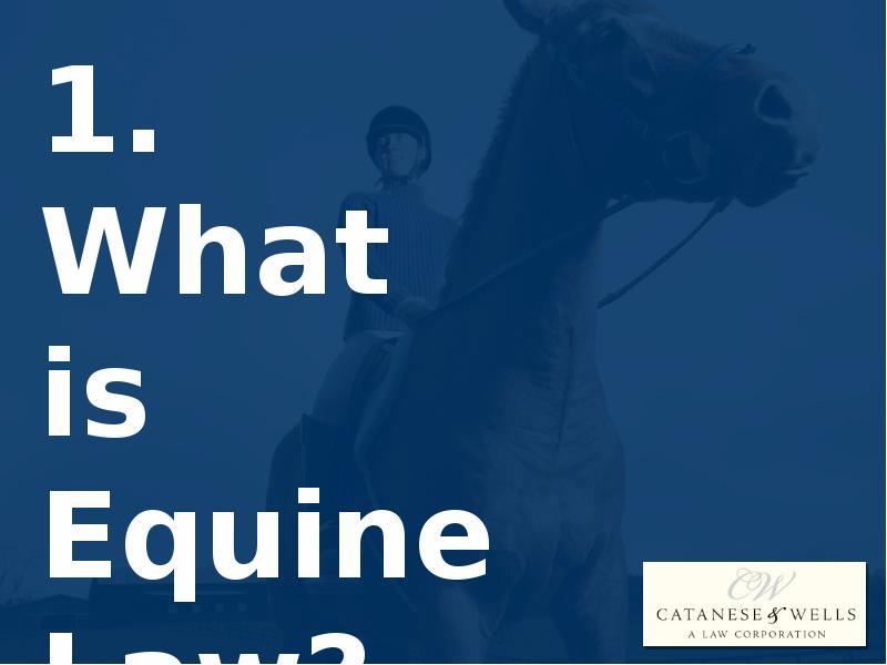 EQUINE LAW THE 4 MOST FREQUENTLY ASKED QUESTIONS