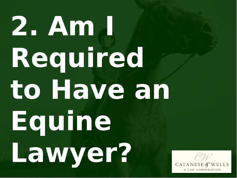EQUINE LAW THE 4 MOST FREQUENTLY ASKED QUESTIONS