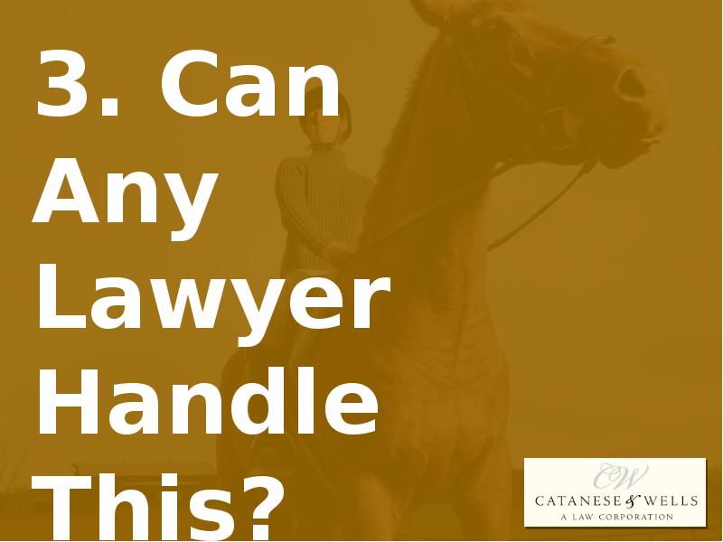 EQUINE LAW THE 4 MOST FREQUENTLY ASKED QUESTIONS