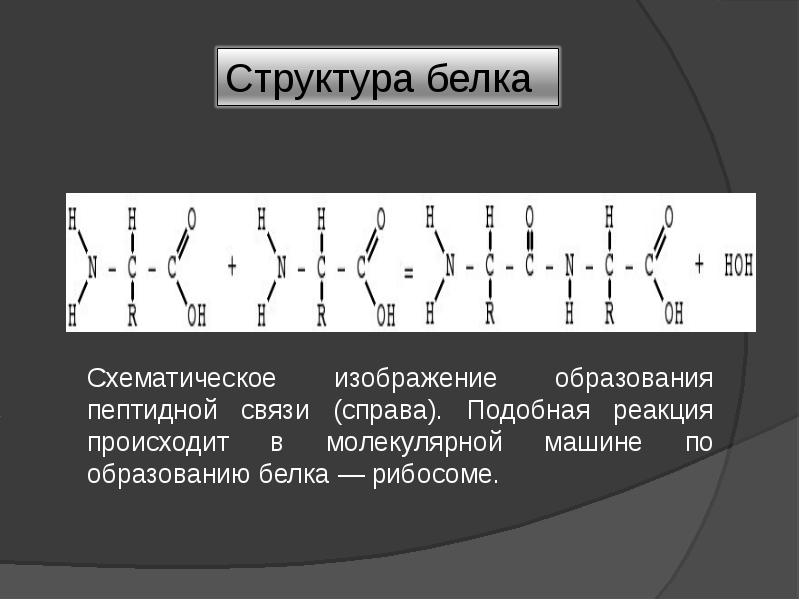 Образование белков. Строение белков схематически. Простые белки схематическое строение. Изображить структура белка схематично. Белки изобразить схематично.