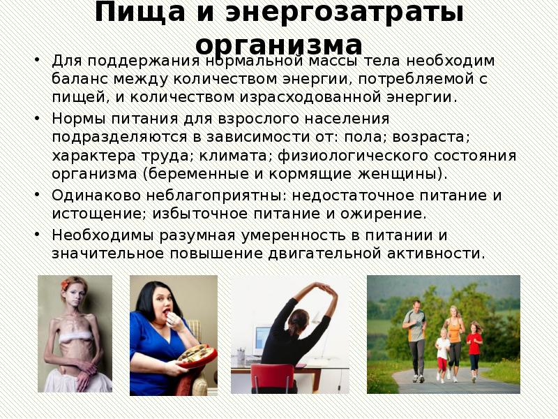 Пища и энергозатраты организма Для поддержания нормальной массы тела необходим баланс