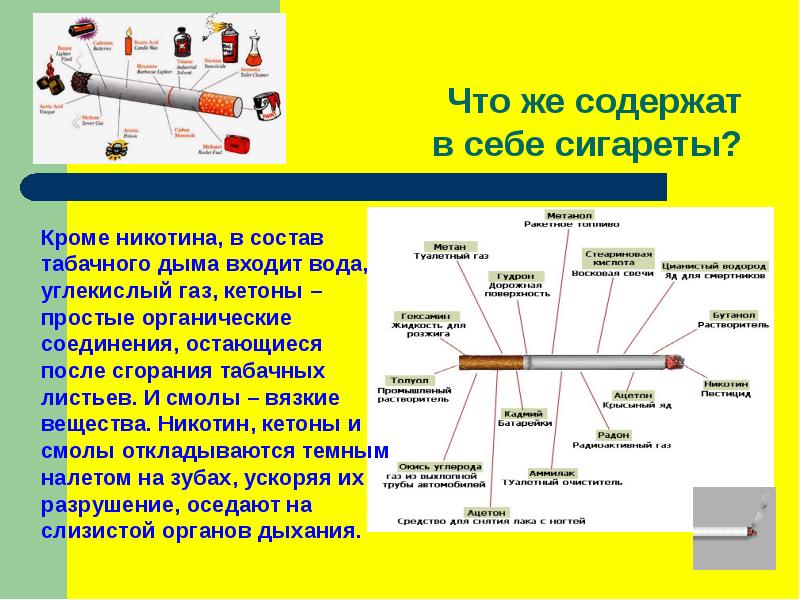 Фото из чего состоит сигарета