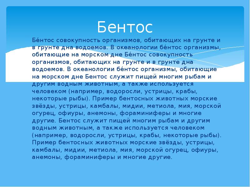 Жизнь в мировом океане 7 класс проект