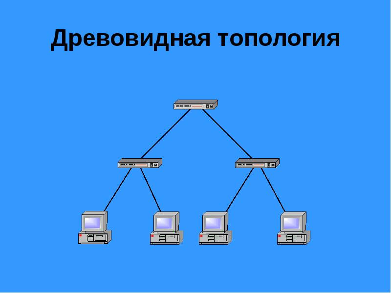 Топология дерево картинка