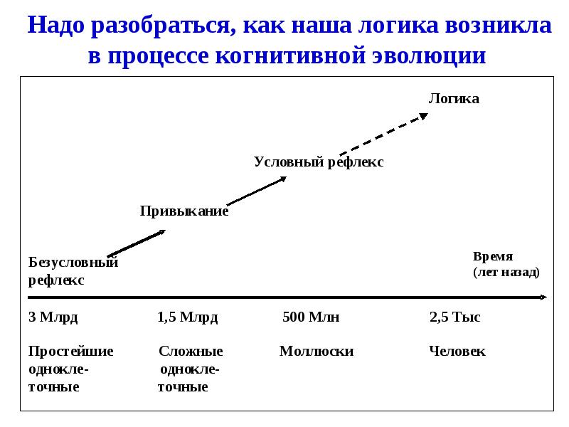 Эволюция теории управления проектами реферат