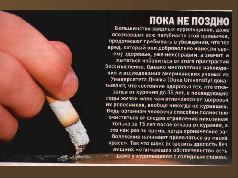Что Будет Если Курить Фото
