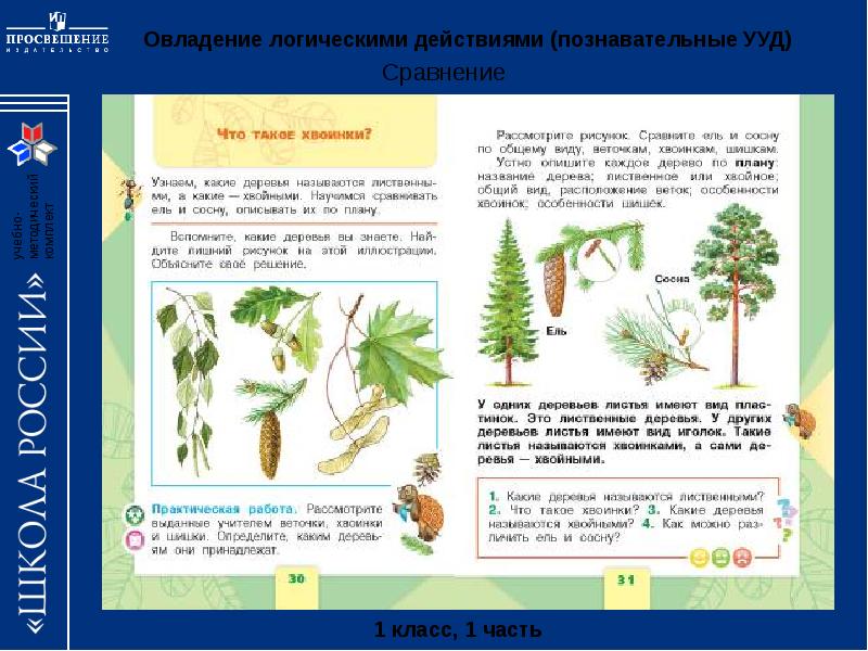 Презентация по окр миру 1 класс 1 урок