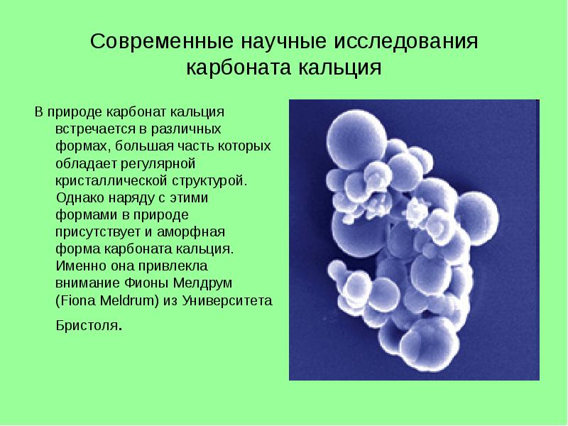 Карбонат кальция презентация