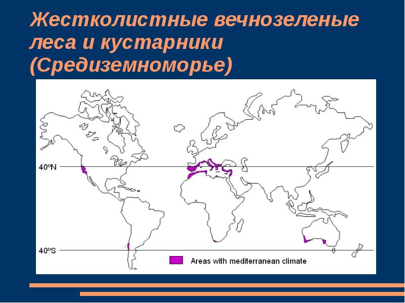 Природная зона жестколистные. Жестколиственные леса на карте. Вечнозеленые леса и кустарники. Вечнозеленые леса на карте. Географическое положение жестколиственных лесов.